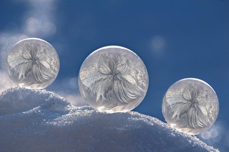 &bdquo;Trio&ldquo; von Gabi Mariacher (3. Platz in Kategorie Farbbild)