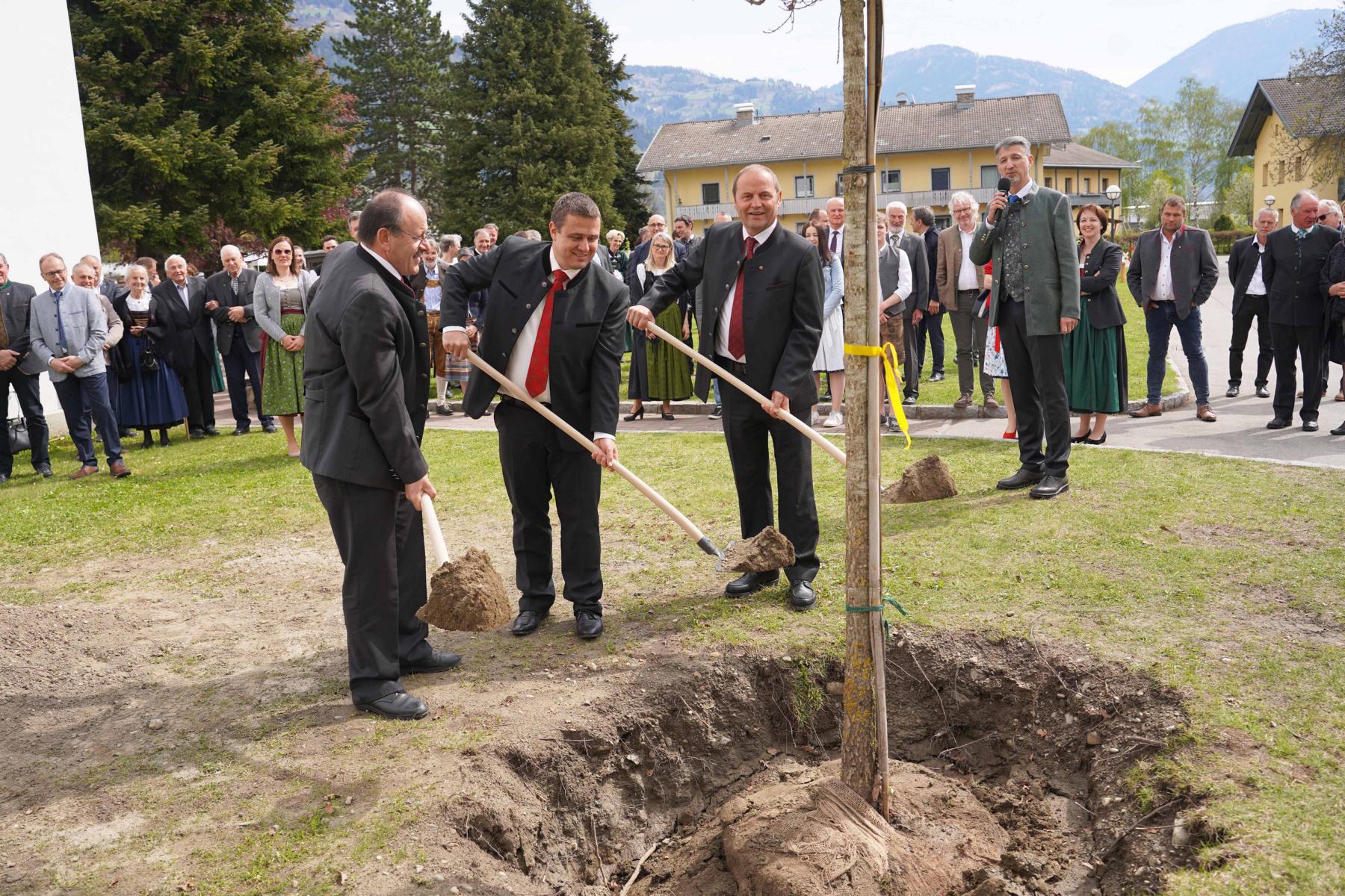 Wie der Jubil&auml;umsbaum, eine Stieleiche, sollen k&uuml;nftige Generationen von Sch&uuml;lerInnen an der LLA Lienz verwurzelt bleiben und durch ganzheitliche Bildung wachsen, Foto: LLA Lienz