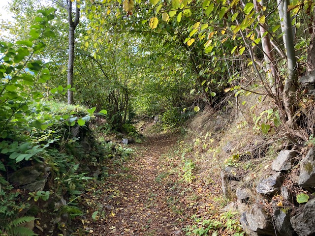 R&ouml;merweg, Foto: Brugger