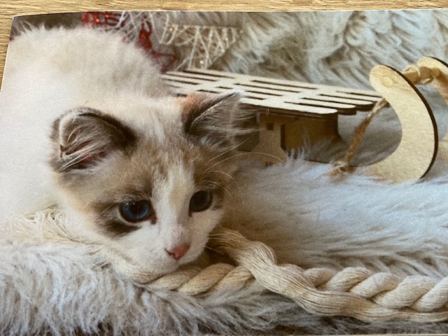 Beispiel Gru&szlig;karte