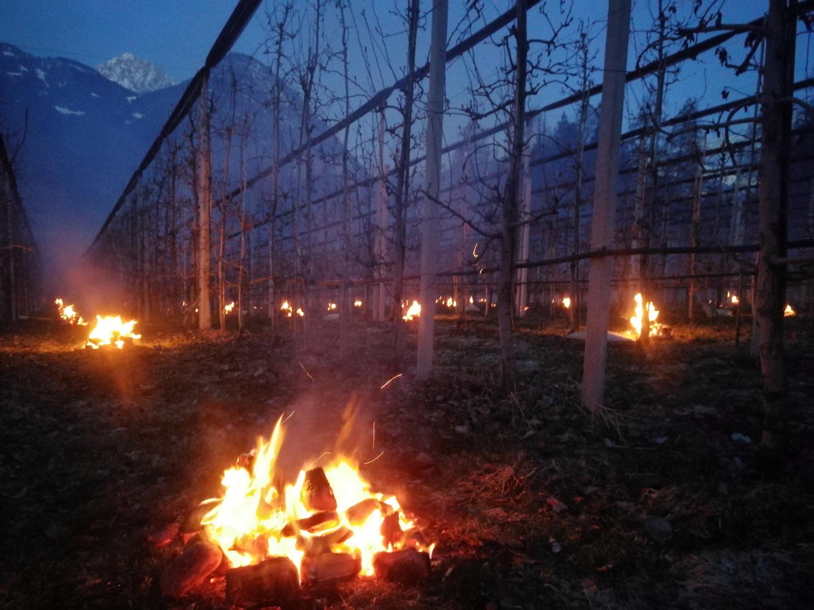 Foto: Kuenz Naturbrennerei