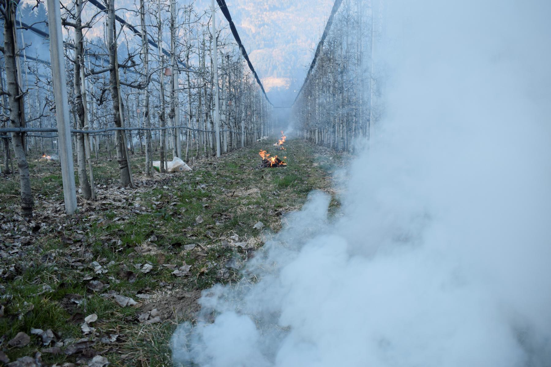 Foto: Kuenz Naturbrennerei