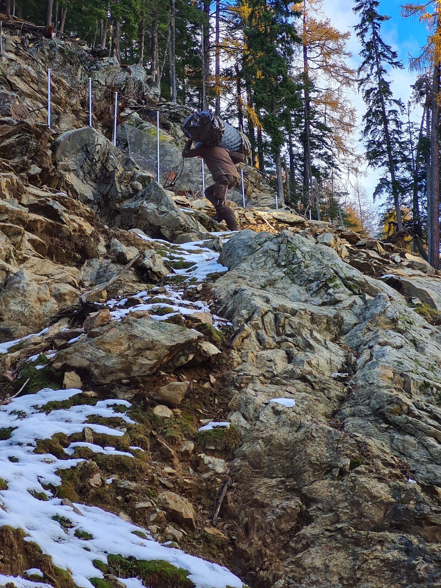 Foto: Wildpark Assling