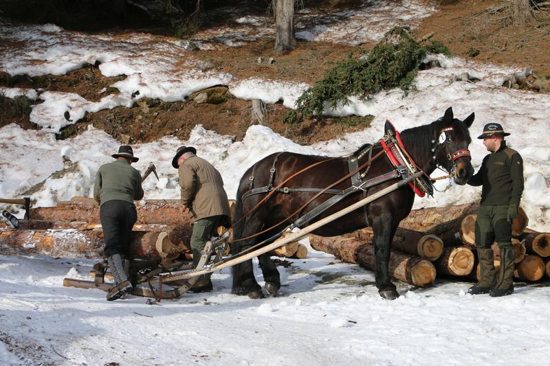 Fr&uuml;her war das Holzfuhrwerken f&uuml;r viele Landwirte eine willkommene Winterarbeit. Jedoch eine sehr schwere, denn die meterlangen Baumst&auml;mme mussten h&auml;ndisch aus dem Wald gebracht, am Schlitten befestigt und nach mitunter gef&auml;hrlicher Fahrt wieder entladen
