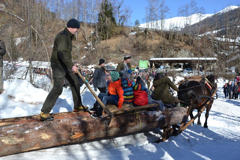 Schwungvoll ging es um die letzte Kurve auf den Platz, wo die einzelnen Gespanne vorgestellt wurden. Dabei erfuhr man z. B., dass das Pferd von Eva Obermoser aus Dellach/Drau (im Bild) im Jahr 2012 Landessieger war und derzeit beim sechsten Fohlen tr&auml;chti