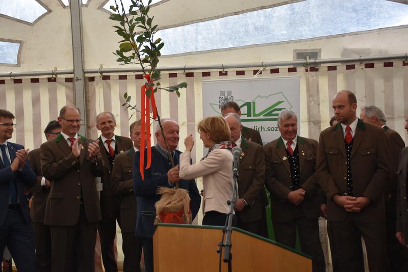 Ein B&auml;umchen von LH-Stv. Gaby Schaunig.