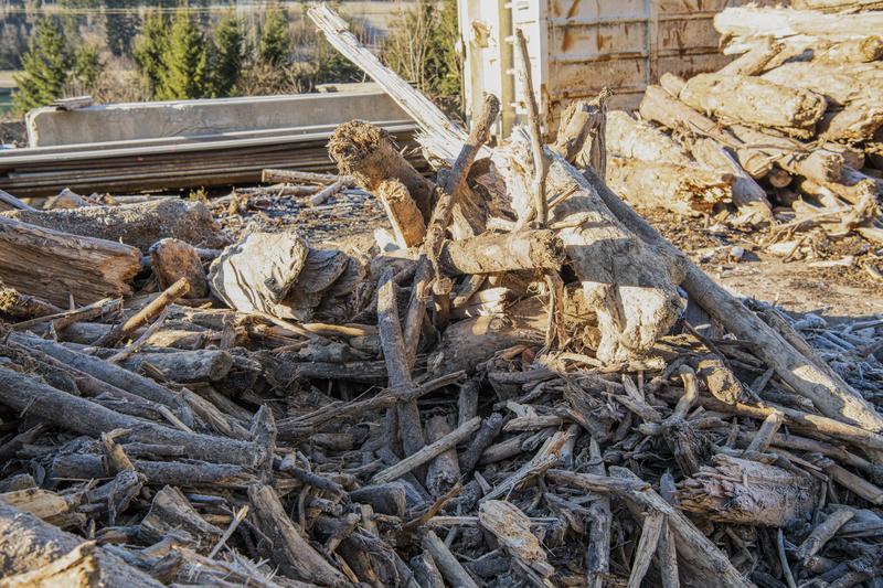Nach den Unwettern des vergangenen Novembers sind die Geschiebe- und Talsperren randvoll mit Schwemmholz, das bisher au&szlig;erhalb K&auml;rntens entsorgt werden musste. Foto: Lindner