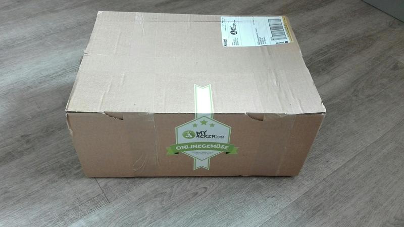 Seit April werkelten die Sch&uuml;lerinnen und Sch&uuml;ler im Computergarten, bis endlich die erste, riesige Ernte eingefahren werden konnte. Foto: Malle