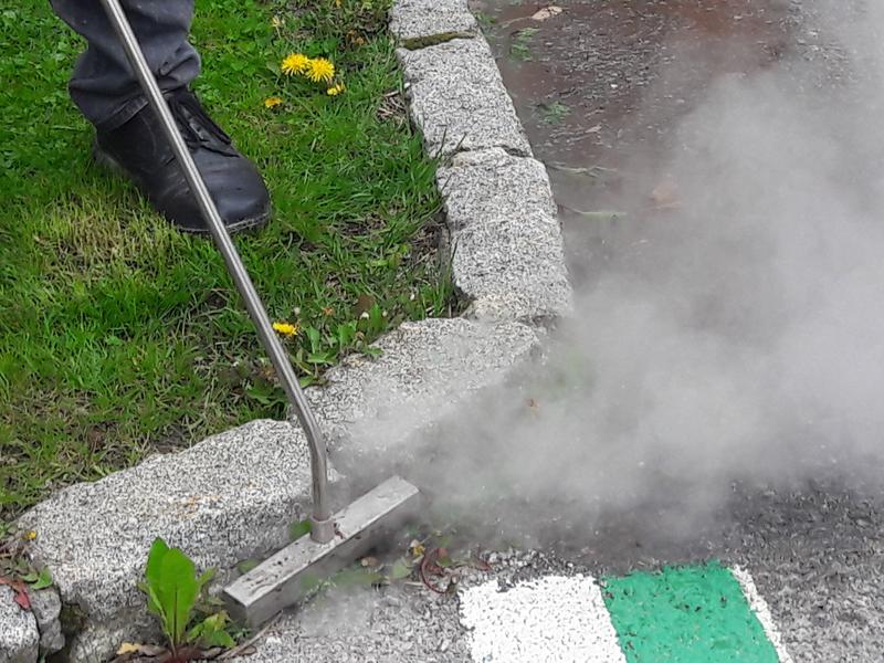 Dem Unkraut Dampf machen.