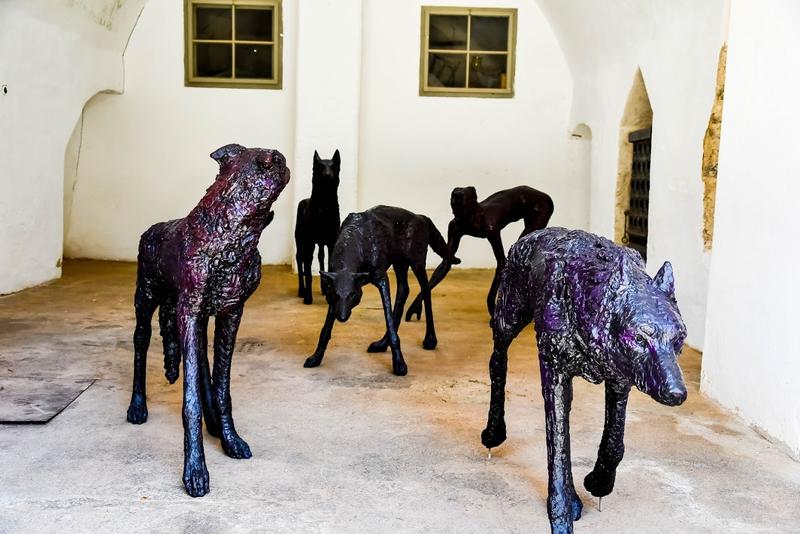 Die W&ouml;lfe von Judith Wagner waren ein Publikumsmagnet.