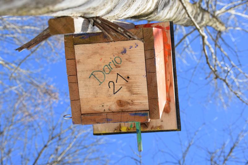 Kinder des Kindergartens in Baldramsdorf schufen mit ihren bemalten Nistk&auml;sten einen bunten Vogelschutzwald. Jedes Kind steht f&uuml;r &bdquo;seinen&ldquo; Nistkasten Pate.