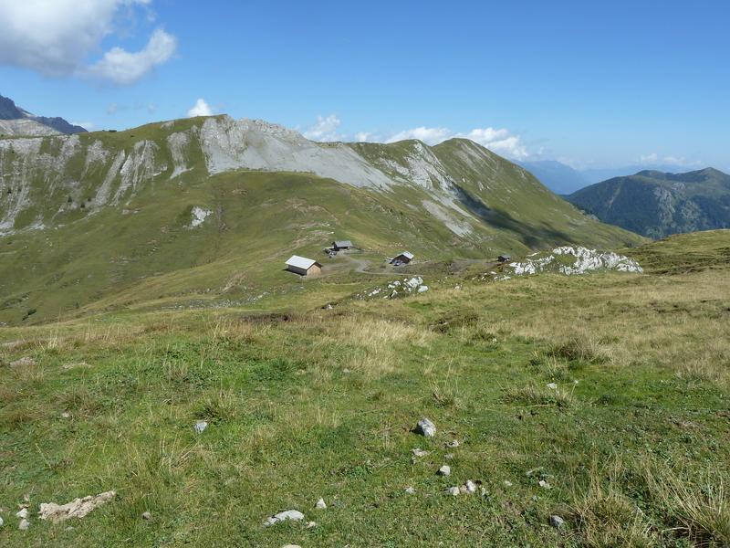 Die weitl&auml;ufige Tscheltscher Alm im Lesachtal ist heuer das Ziel des Landesalmwandertages am 24. Juli 2021. Foto: k.brunner