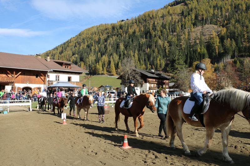 Auch n&auml;chstes Jahr soll es wieder ein Hausturnier in der Reitsportarena Hohe Tauern geben. Foto: Heidi Schober