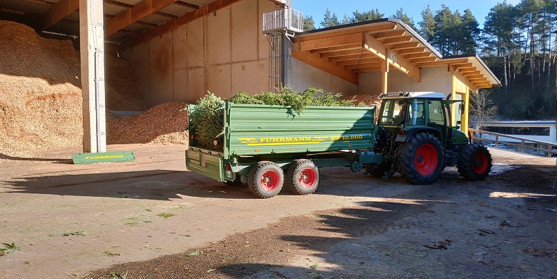 Die Christb&auml;ume werden in das Heizwerk gebracht.