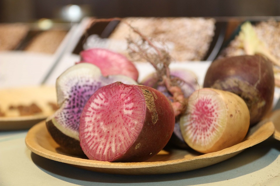 Saatgutb&ouml;rse in Seeboden.