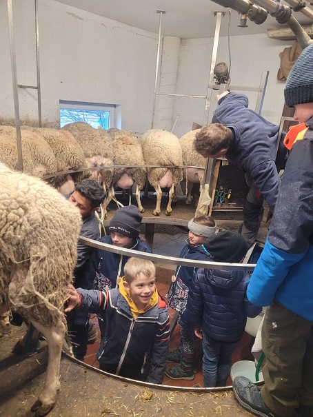 Nat&uuml;rlich darf beim forschenden und entdeckenden Lernen der Spa&szlig; nicht fehlen. Ein Highlight waren das Schafe-melken und die s&uuml;&szlig;en L&auml;mmchen der Familie Hopfgartner.