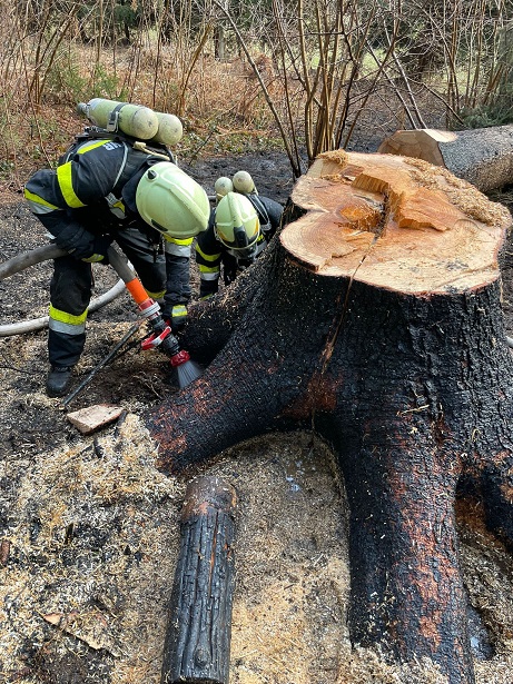 Noch w&auml;hrend des Einsatzes wurden die Florianis zu einem weiteren "Baumbrand" alarmiert.