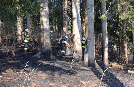 Gr&ouml;&szlig;erer Waldbrand in Spittal wurde verhindert.