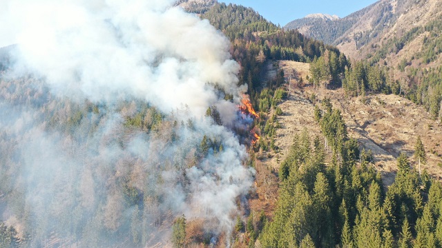 Am Burgstallberg gab es erneut einen Waldbrand.