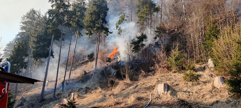 Am Burgstallberg gab es erneut einen Waldbrand.