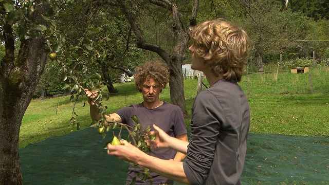 Leopold Feichtinger und Philipp Bodner zeigen ihre Streuobstwiese
