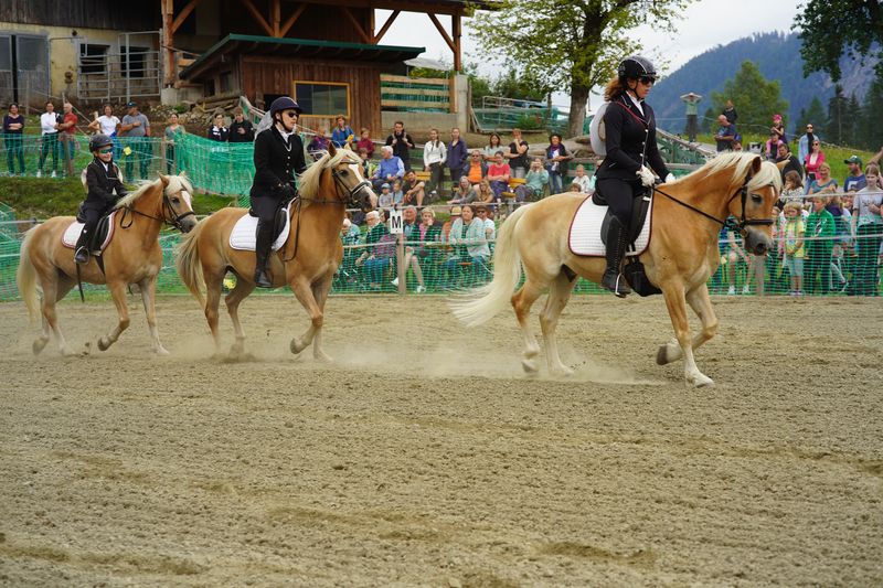Leana, Andrea und Helena.