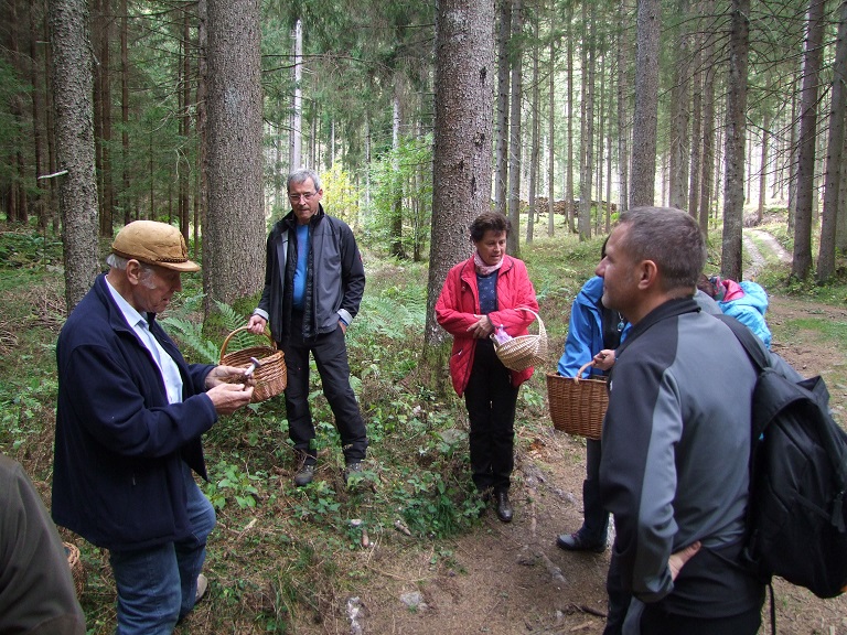 Mit den Experten geht es in den Wald Pilze suchen und bestimmen.
