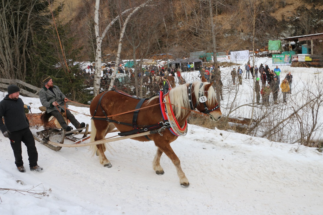 Holzr&uuml;cken M&ouml;lltal