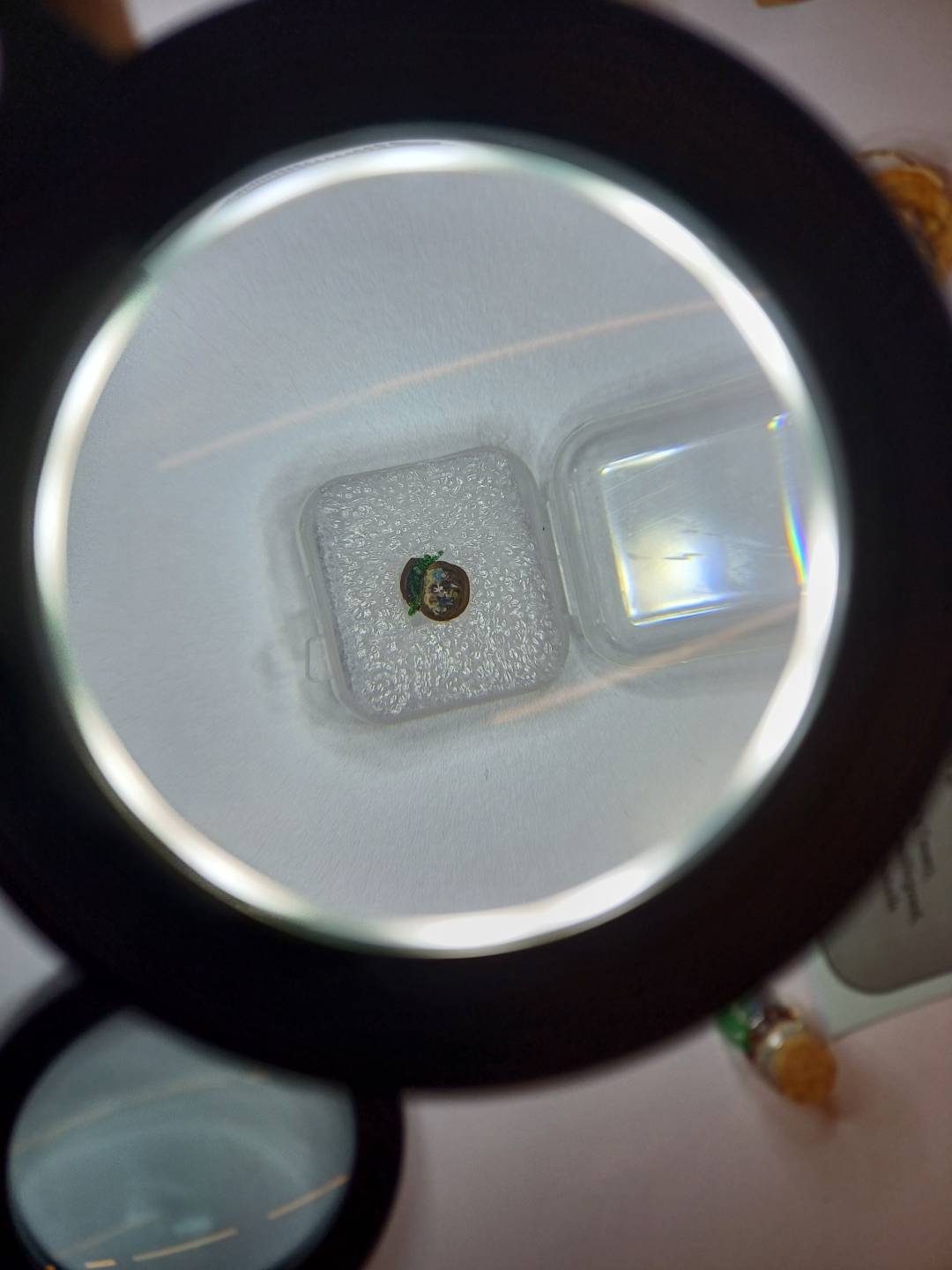 Die &bdquo;kleinste Krippe der Welt misst gerade einmal 8x7 Millimeter. Die Krippenfiguren sind nur mit einer Lupe zu sehen &ndash; ein Hit f&uuml;r die j&uuml;ngeren Besucher!