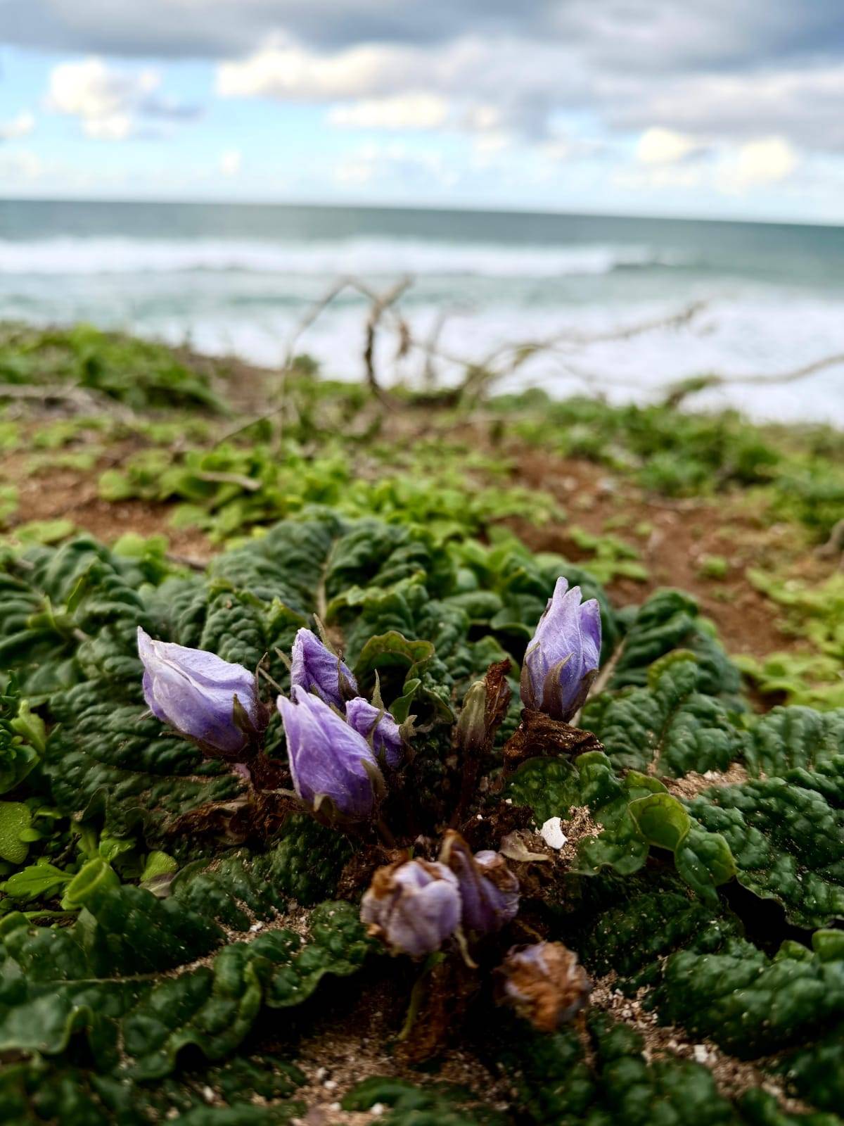 Foto: Katharina Zanon