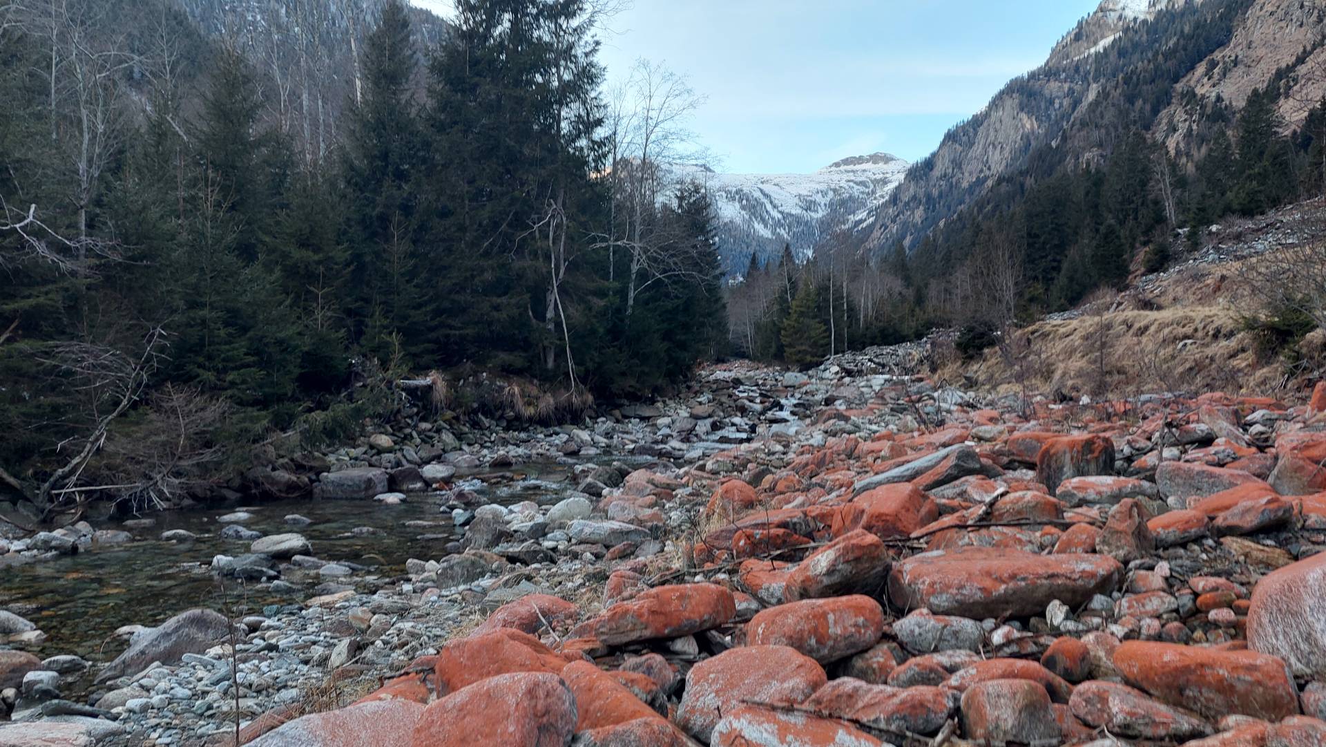 Der Radlbach in der Gemeinde Trebesing.