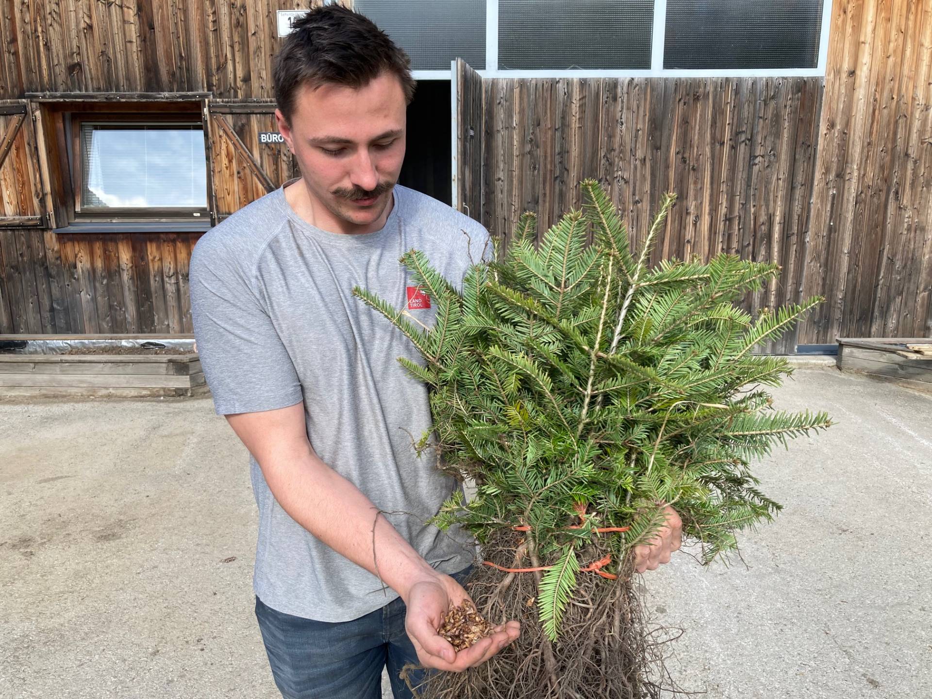 Florian Stocker leitet den Landesforstgarten Nikolsdorf seit Sommer 2025. Hier sind je nach Saison zwischen 10 und 40 MitarbeiterInnen besch&auml;ftigt. Foto: Stangl