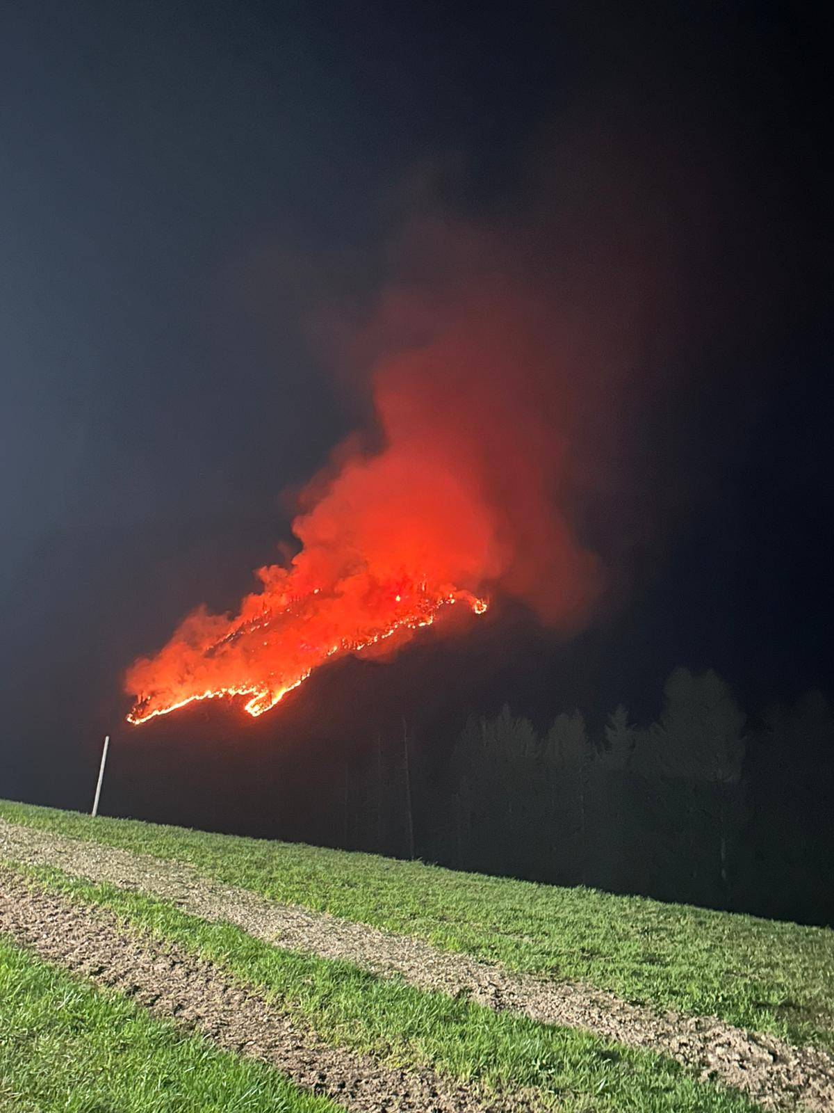 Das Ausma&szlig; der Verw&uuml;stung.