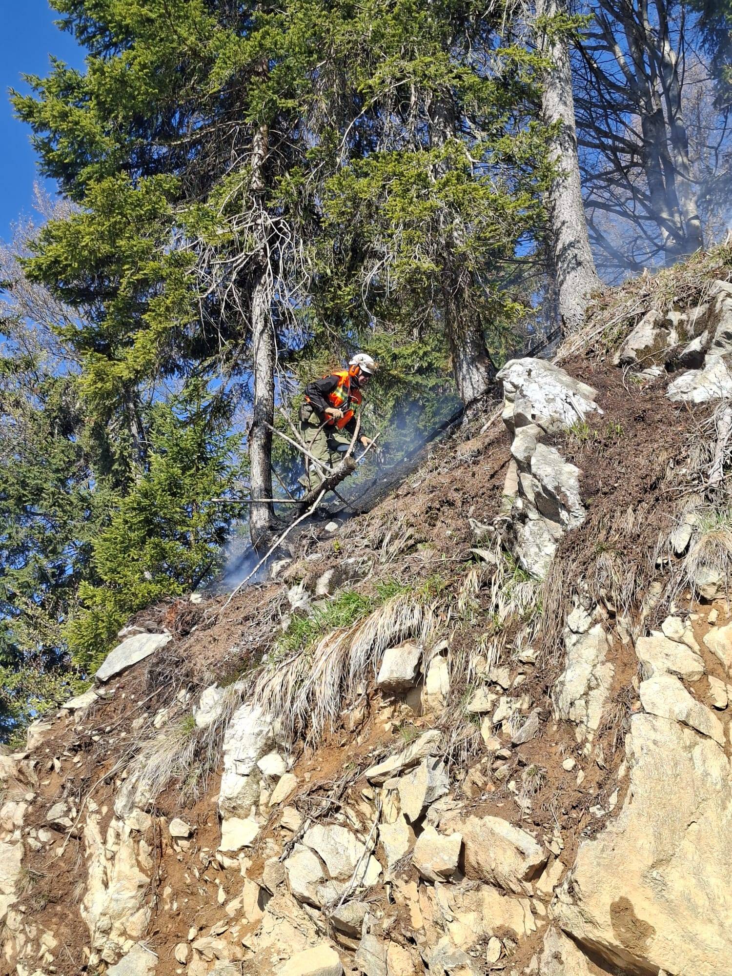 Gef&auml;hrliche Arbeit im steilen Gel&auml;nde. Foto: Karl Brunner