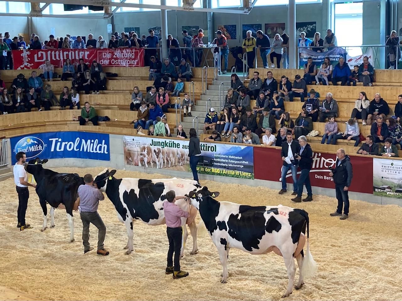 Gesamtwertung bei Holstein-K&uuml;hen (Stefan Dichtl aus Virgen mit Gesamtsiegerin "Diana" in der Mitte). Foto: Stangl