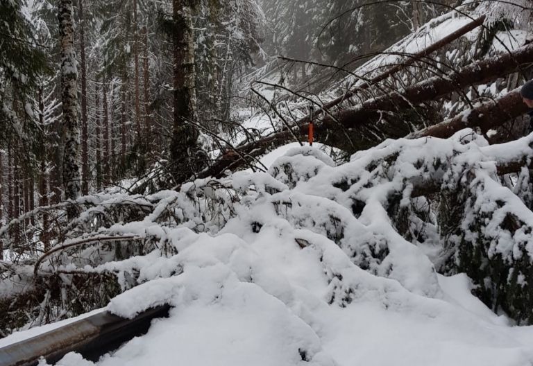 R&uuml;ckblick auf November-Unwetter vor einem Jahr