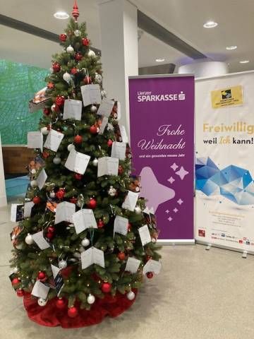 Der Weihnachtswunschbaum wartet auf Packerl. Foto: Stangl