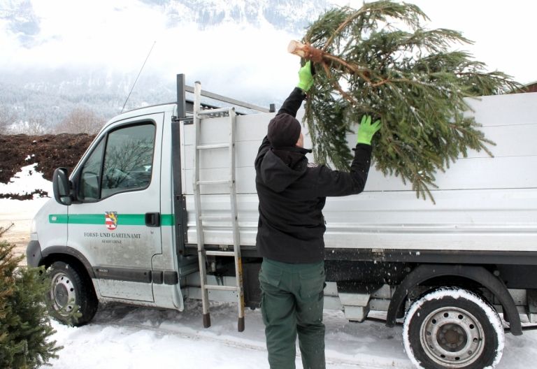 In Lienz werden Christb&auml;ume zu Komposterde
