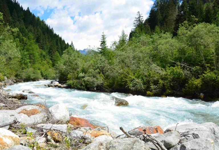 WWF kritisiert Energiebranche f&uuml;r Angriff auf intakte Fl&uuml;sse