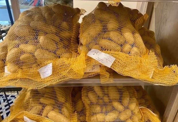 Heimische Erd&auml;pfel stehen nun doch hoch im Kurs