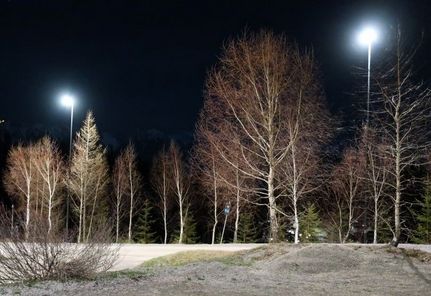 Die dunkle Seite des Kunstlichts - Schwerpunkt Natur 