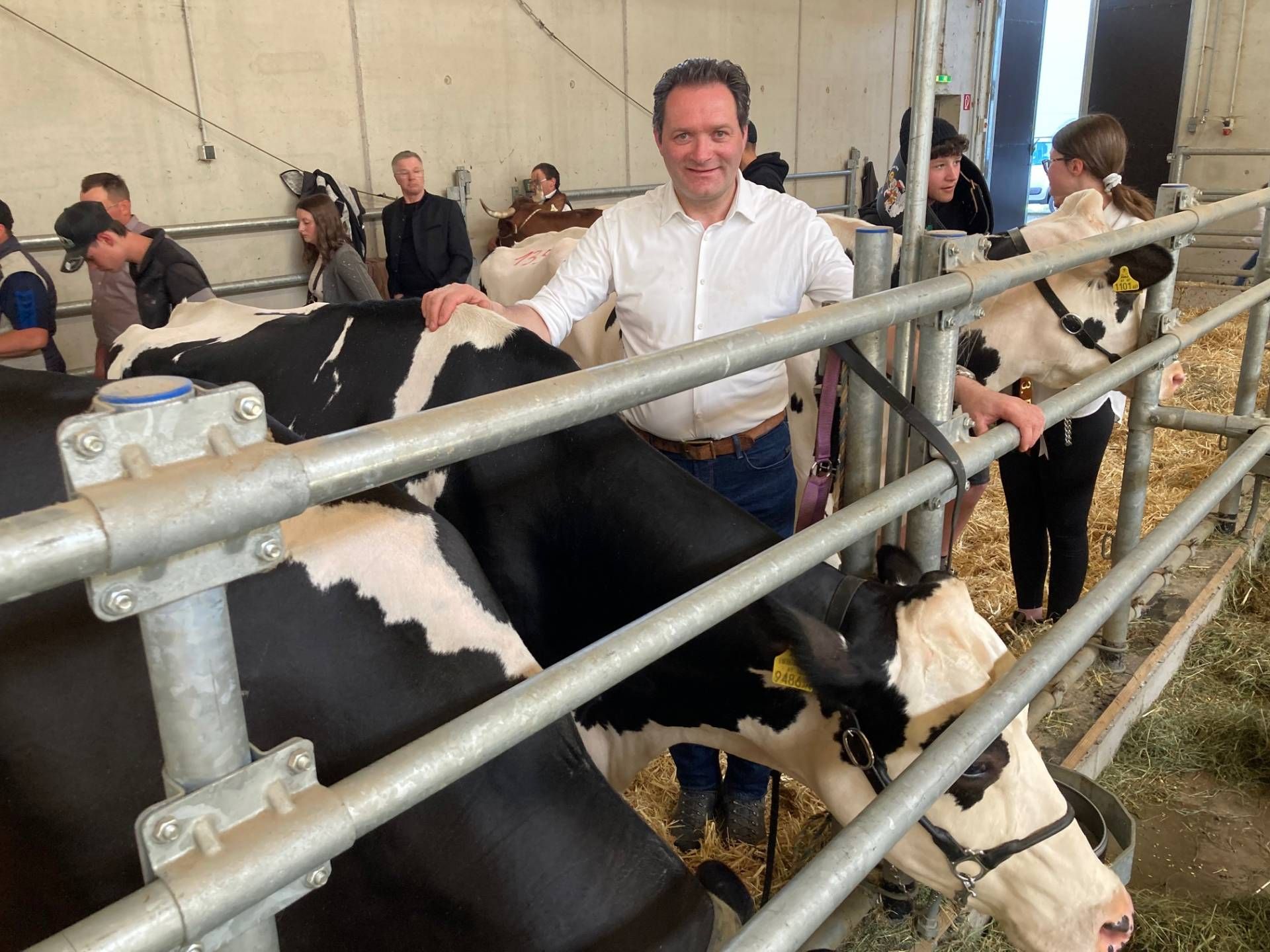 BM Norbert Totschnig f&uuml;hrte eine Holstein-Kuh aus dem Familienbetrieb in Tristach in den Ring. Foto: Stangl