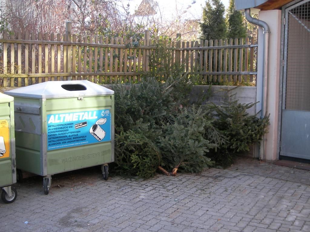 Sauber und ohne Weihnachtsschmuck sollen die Christb&auml;ume bei den M&uuml;llinseln deponiert werden, damit sie dann auch gut kompostiert werden k&ouml;nnen, Foto: Stadt Lienz