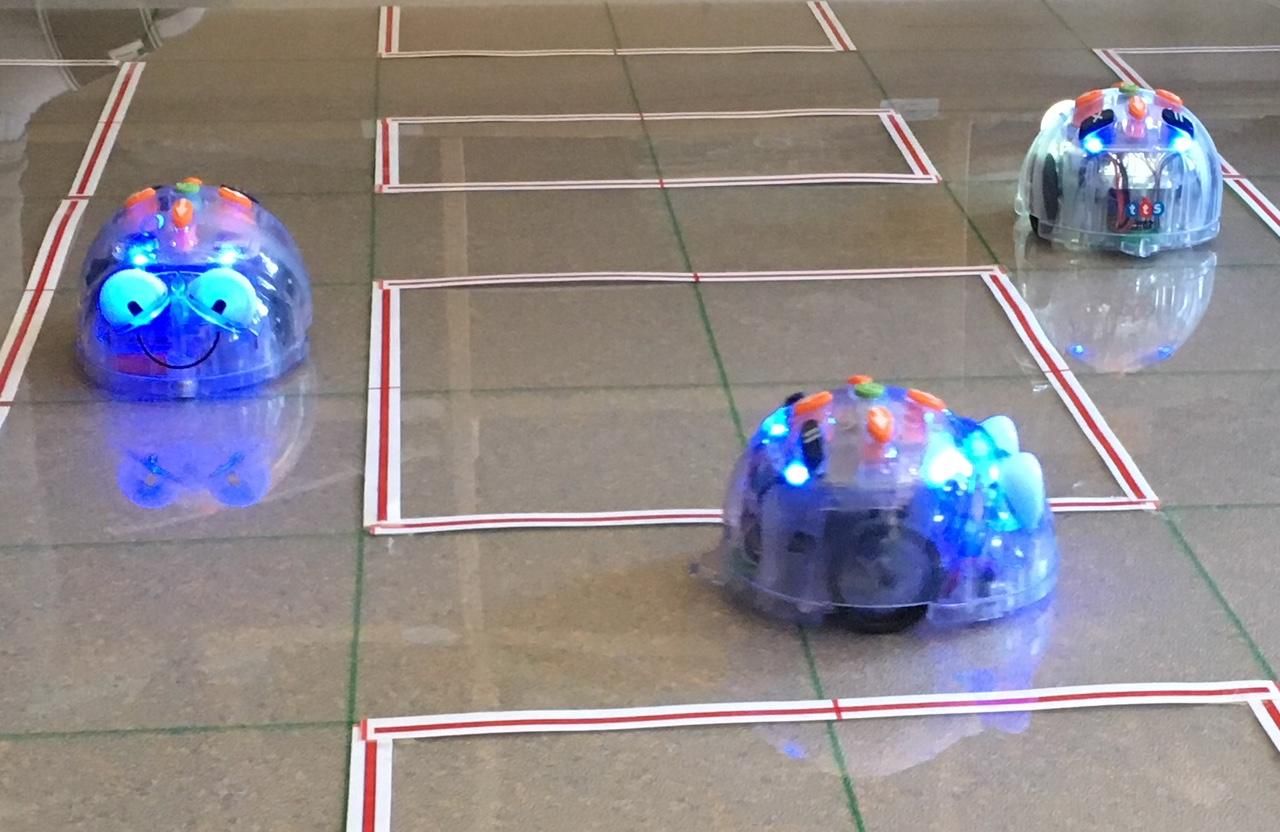 die BlueBots folgen den Programmieranweisungen der jungen ProgrammiererInnen, Foto: Stangl