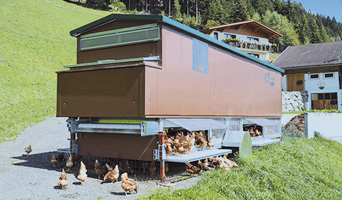 Hehnastoir Huehnerstall2