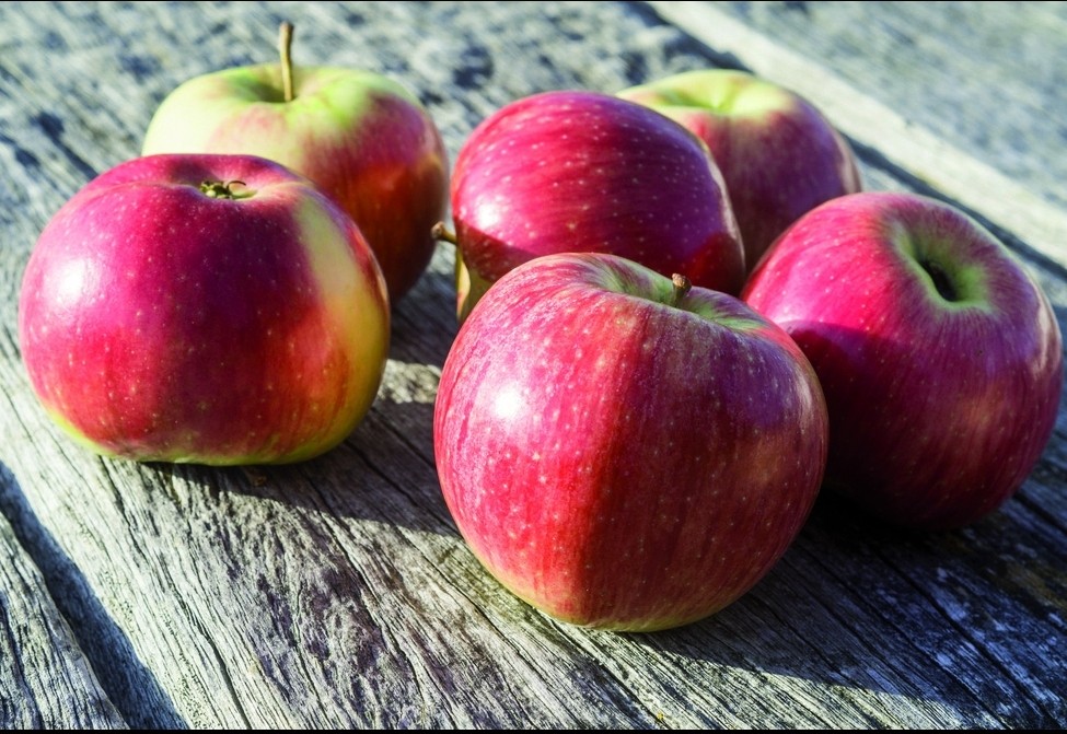 Warum das Regionale einfach genial ist 