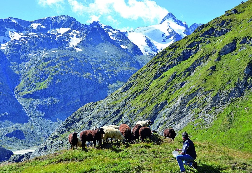 Glocknerlamm-Fest in Heiligenblut 