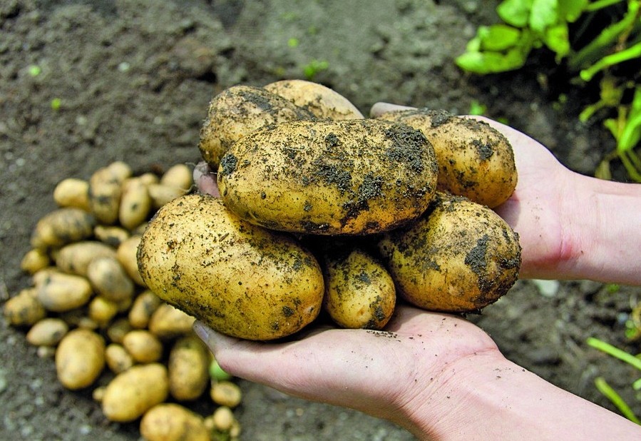 Warum es nicht egal ist, was wir kaufen