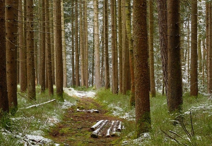 Generalversammlung des Waldpflegevereines Lienz