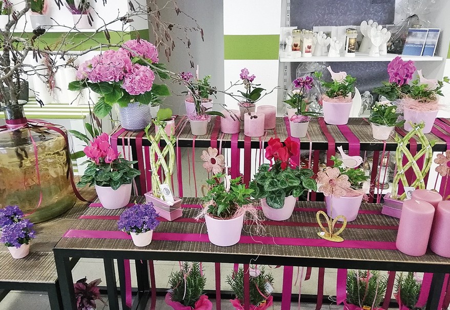 Claudias Blumenschmuck nun auch in Sillian